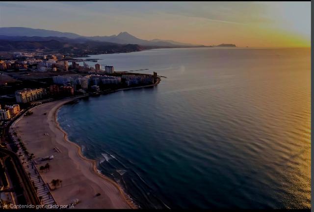 Imagen 1 Inmueble 300539 - Local Comercial en venta en Campello (El) / Primera linea de playa