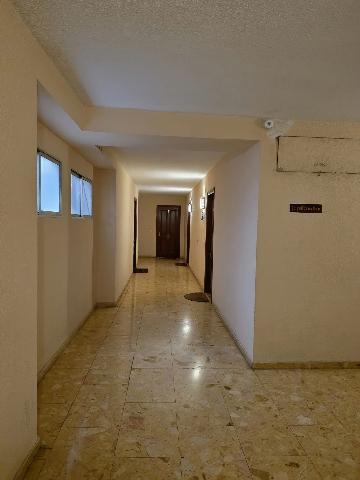 Imagen 18 Inmueble 302193 - Oficina Comercial en venta en Alicante/alacant / En el centro de la ciudad cerca de todas ...