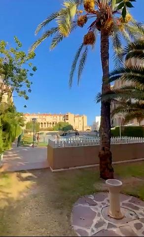 Imagen 20 Inmueble 305216 - Casa Adosada en venta en Campello (El) / Duplex  Playa Muchavista 