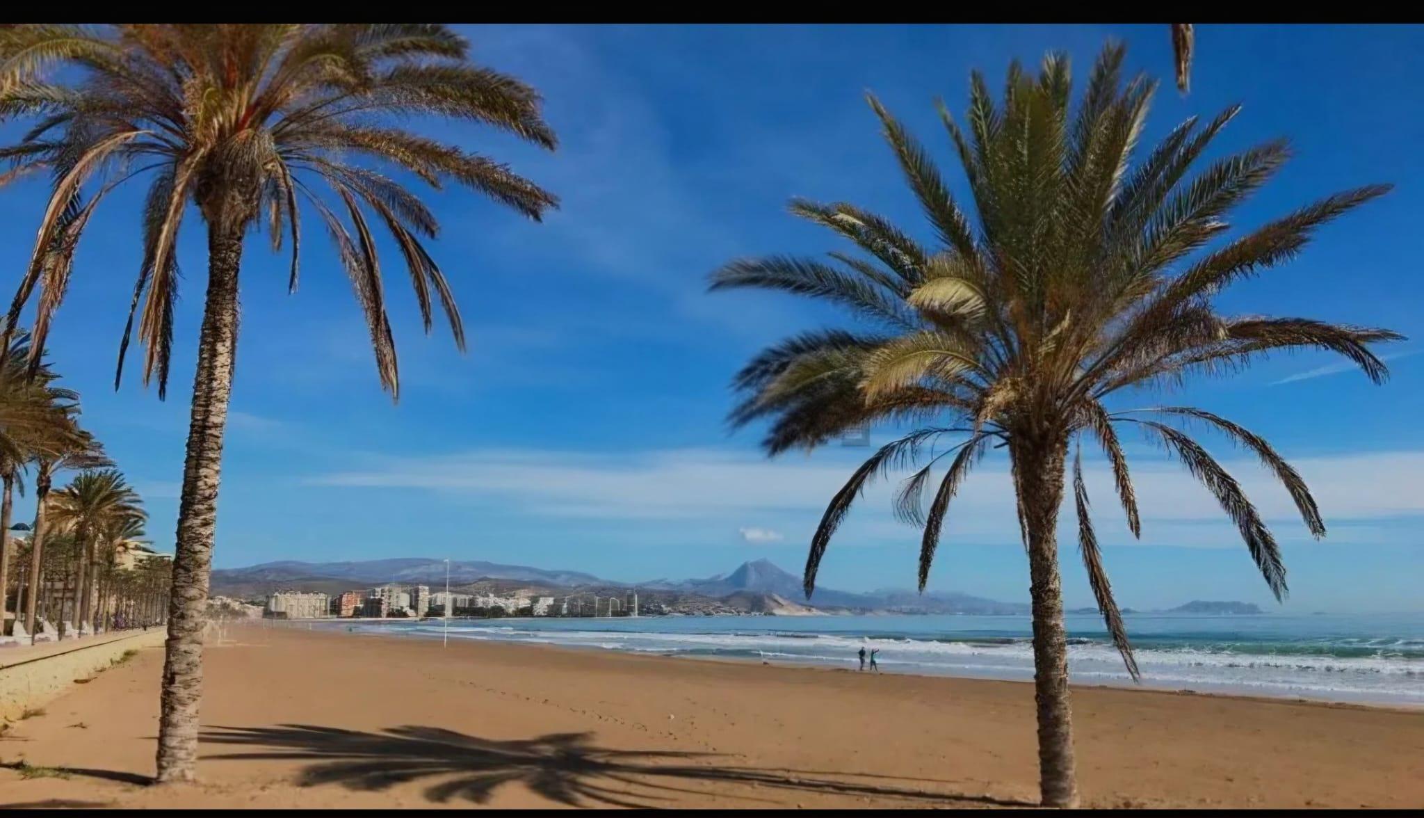 Imagen 32 Casa Adosada en venta en Campello El / Duplex  Playa Muchavista 