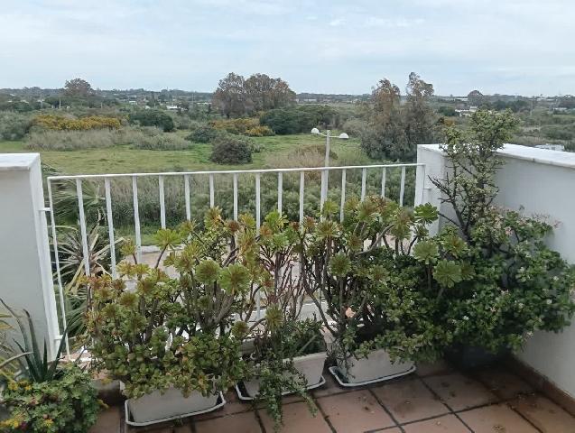 Imagen 11 Inmueble 301504 - Piso en venta en Rota / A 100 metros de la playa Punta Candor 