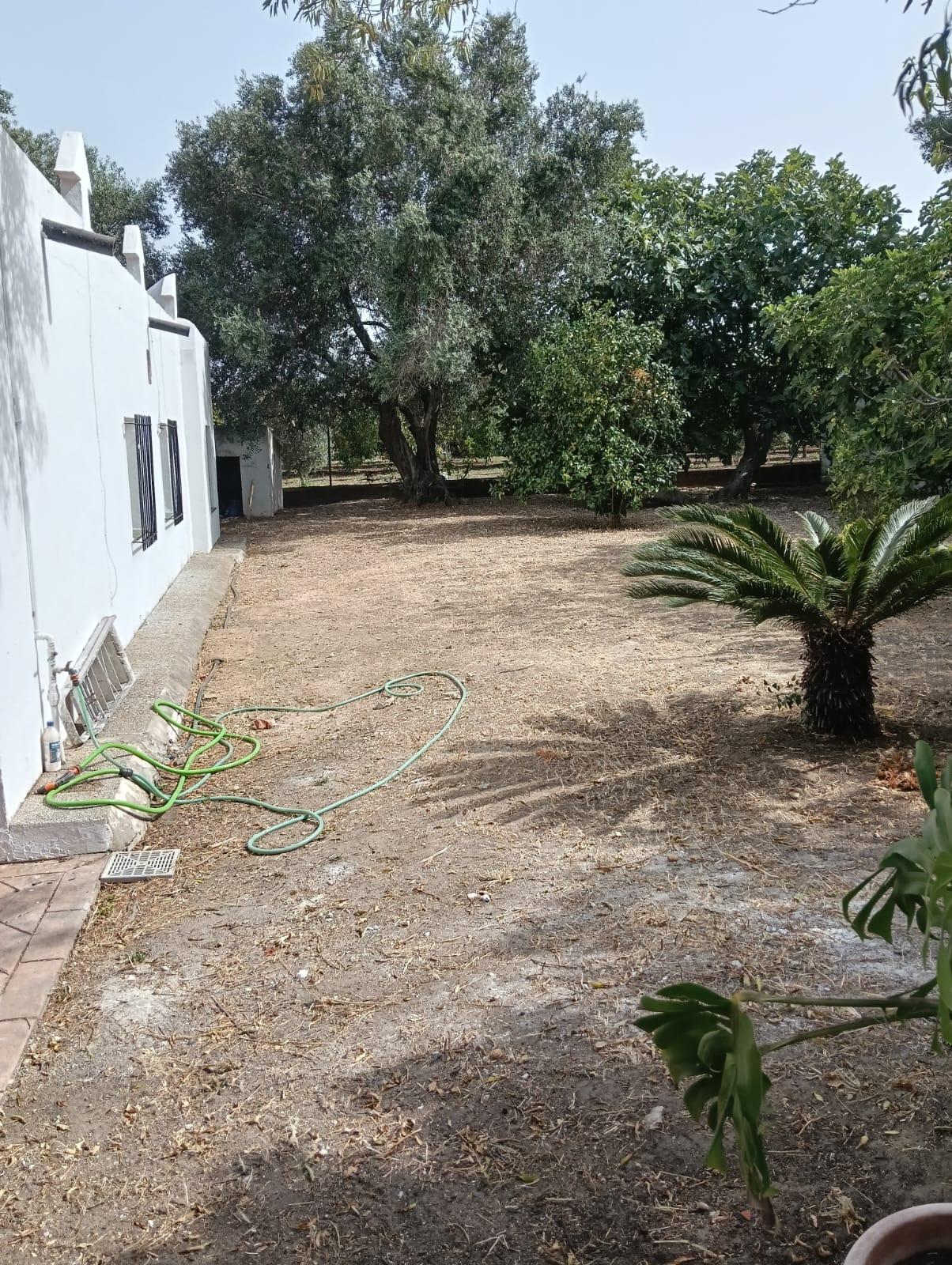 Imagen 20 Casa en venta en Conil De La Frontera / Cerca del Carrefour Express