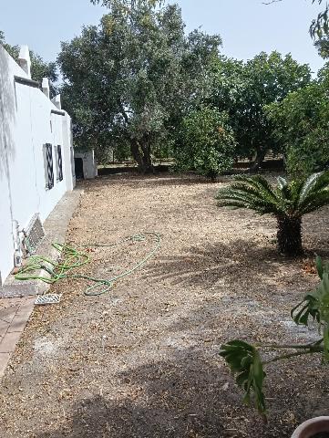Imagen 20 Inmueble 304656 - Casa en venta en Conil De La Frontera / Cerca del Carrefour Express