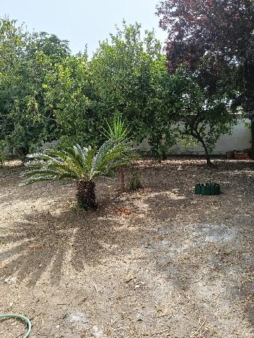 Imagen 8 Inmueble 304656 - Casa en venta en Conil De La Frontera / Cerca del Carrefour Express