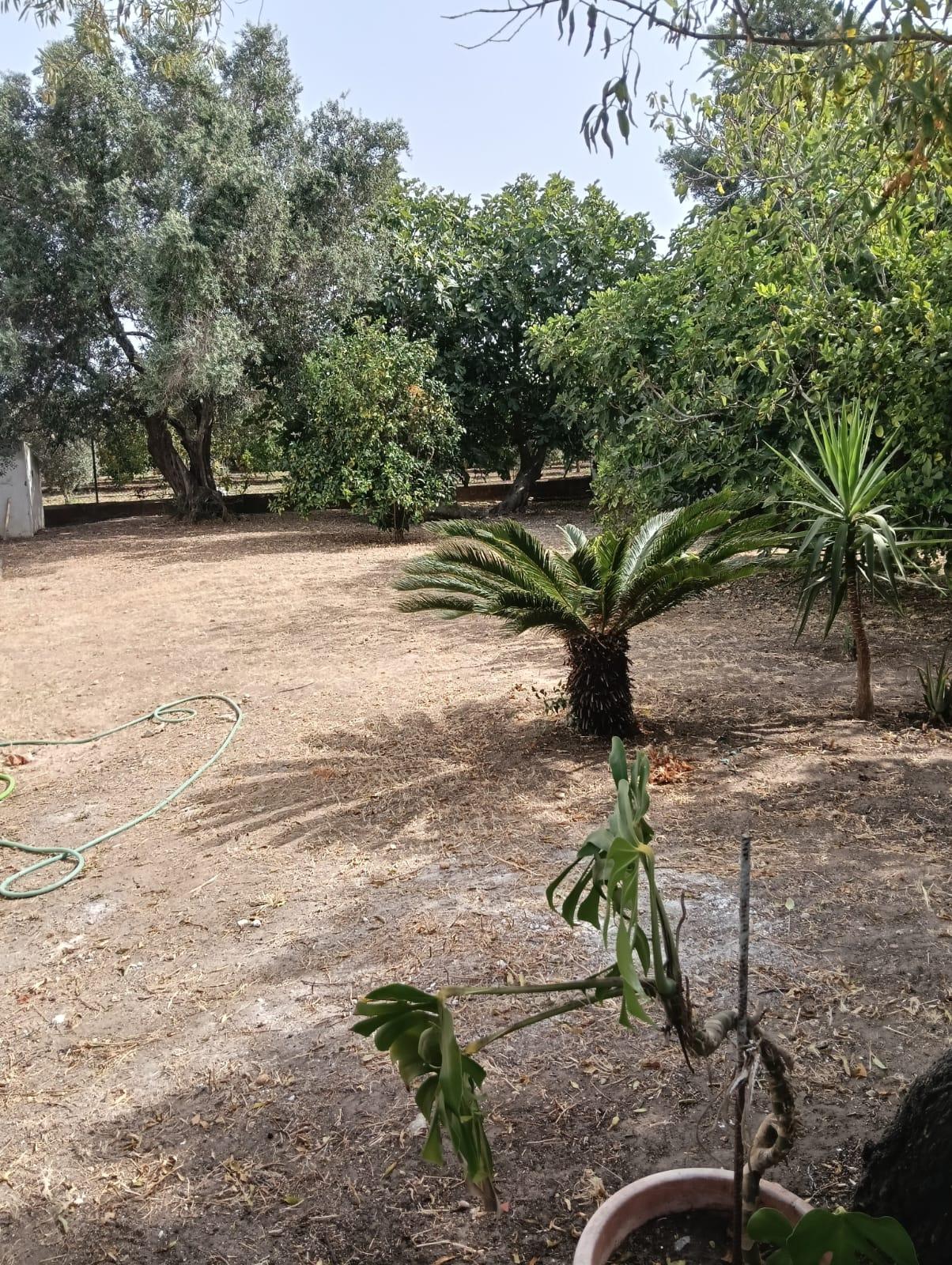 Imagen 21 Casa en venta en Conil De La Frontera / Cerca del Carrefour Express