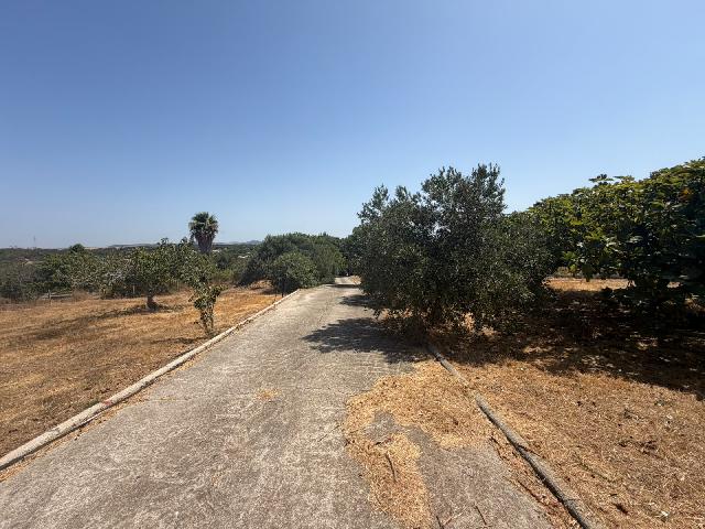Imagen 5 Inmueble 304973 - Casa Rústica en venta en Chiclana De La Frontera / Cerca de la venta la Raya