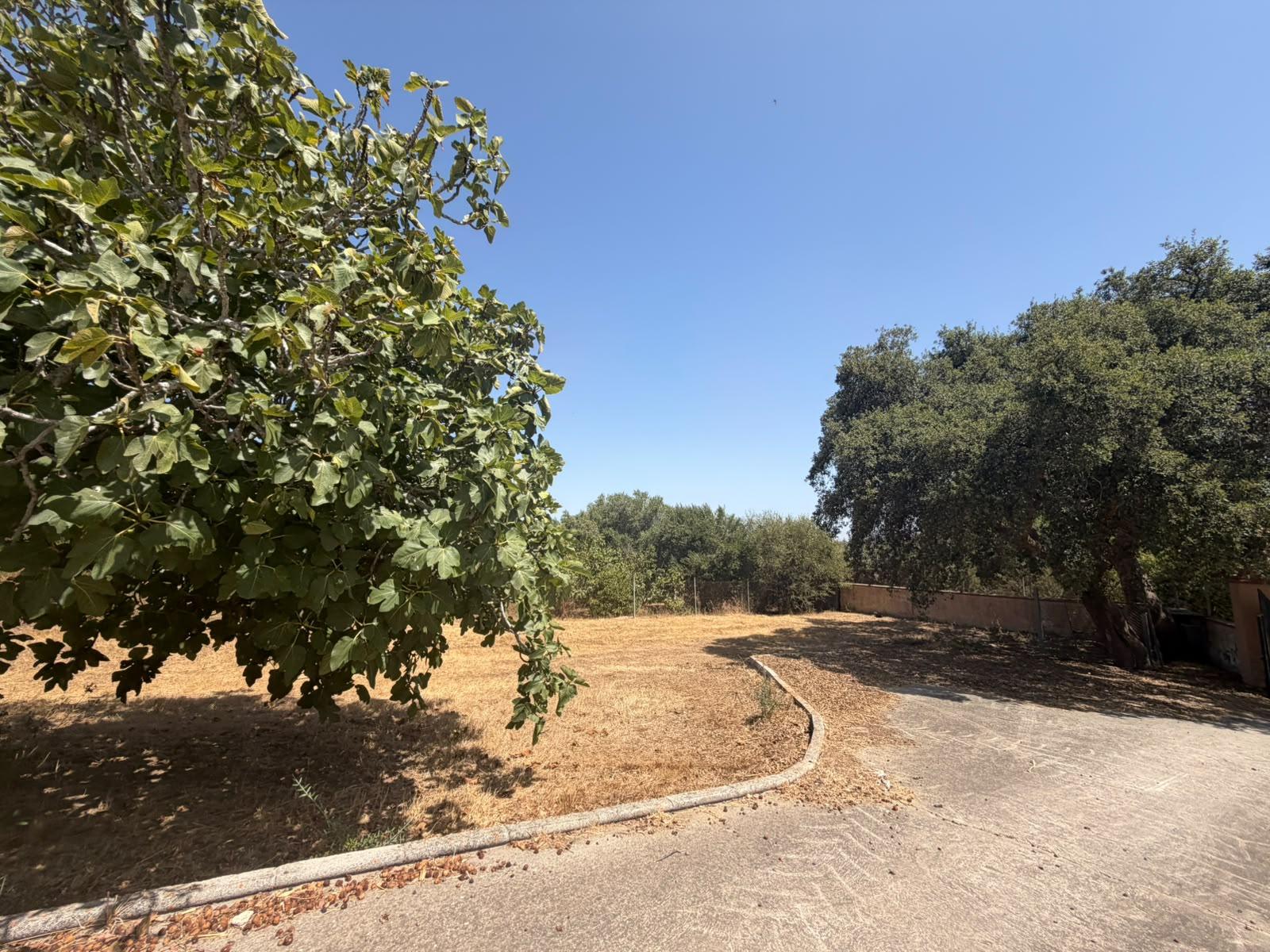 Imagen 11 Casa Rústica en venta en Chiclana De La Frontera / Cerca de la venta la Raya