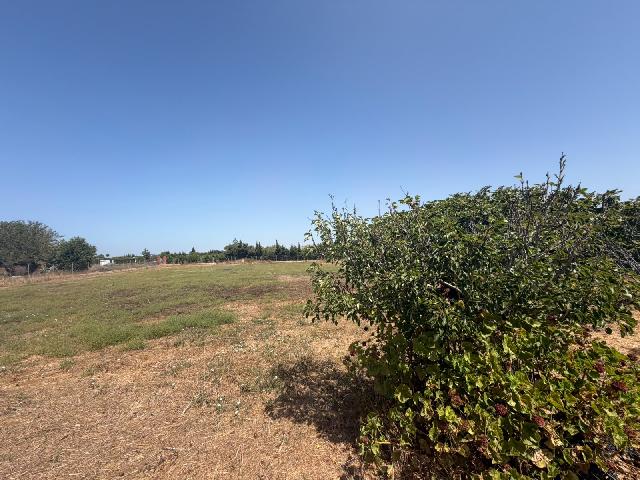 Imagen 4 Inmueble 304973 - Casa Rústica en venta en Chiclana De La Frontera / Cerca de la venta la Raya