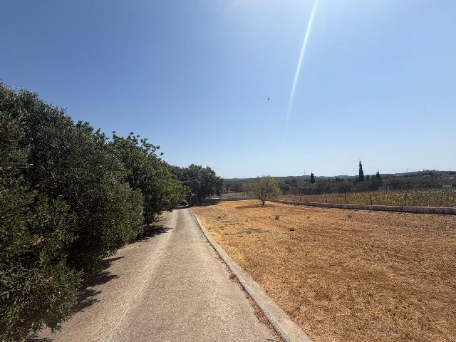 Imagen 17 Inmueble 304973 - Casa Rústica en venta en Chiclana De La Frontera / Cerca de la venta la Raya
