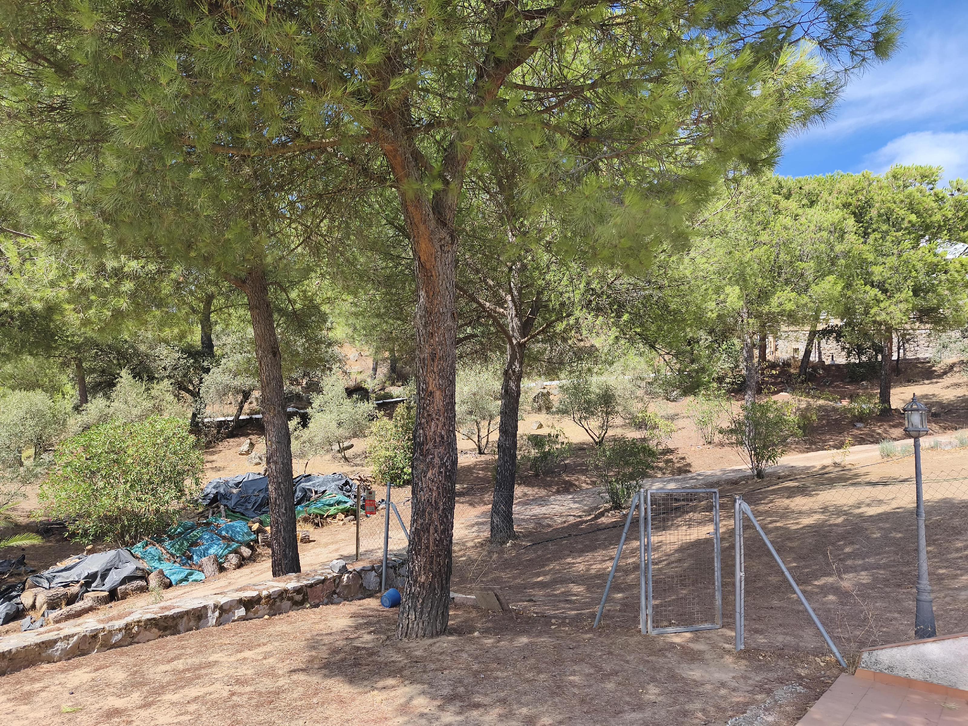 Imagen 13 Casa Rústica en venta en Andújar / Urbanización Navalgrillo junto a Restaurante Los Pinos