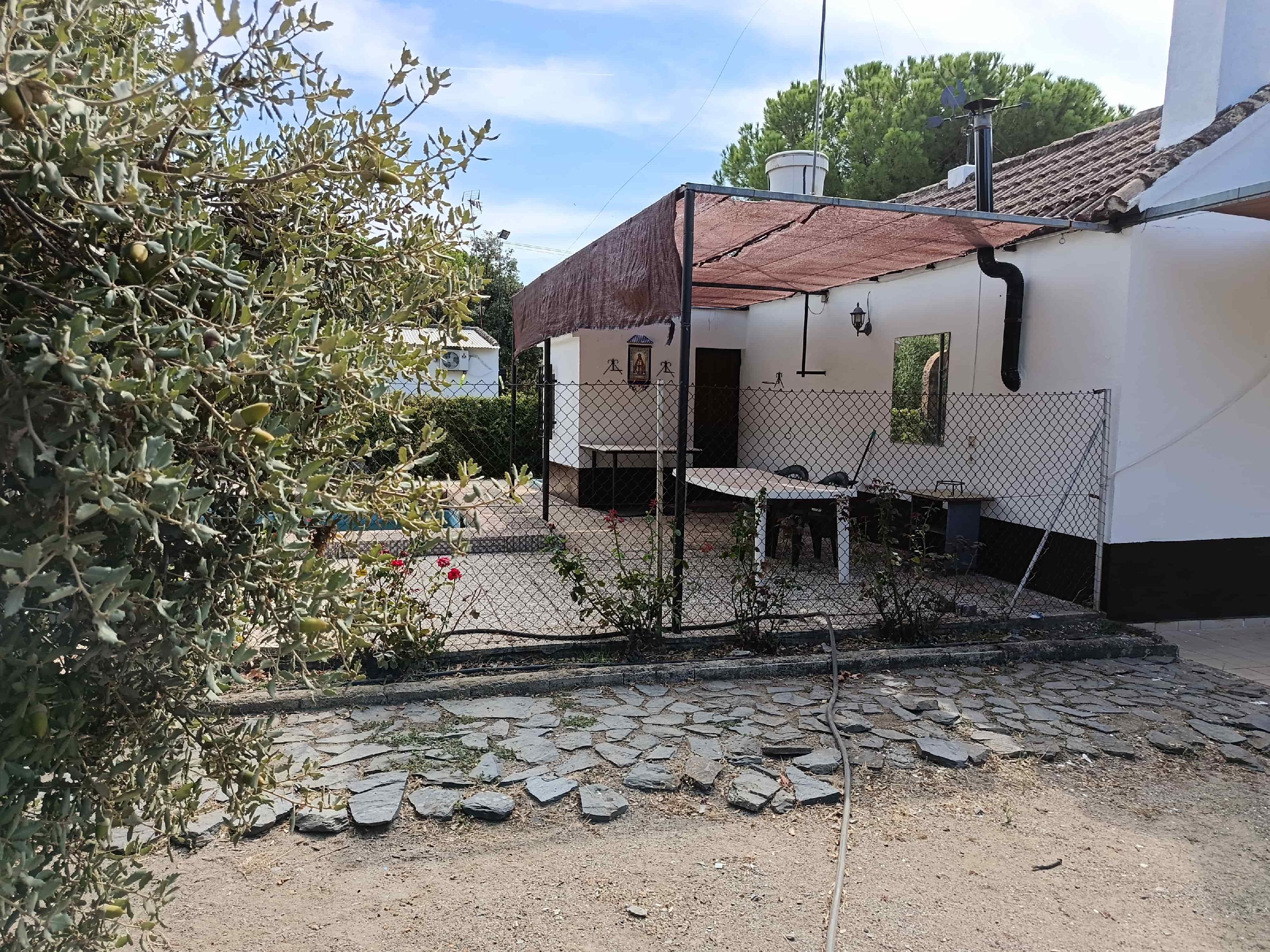 Imagen 4 Casa Rústica en venta en Andújar / A 100 metros del cruce del Alcornoque