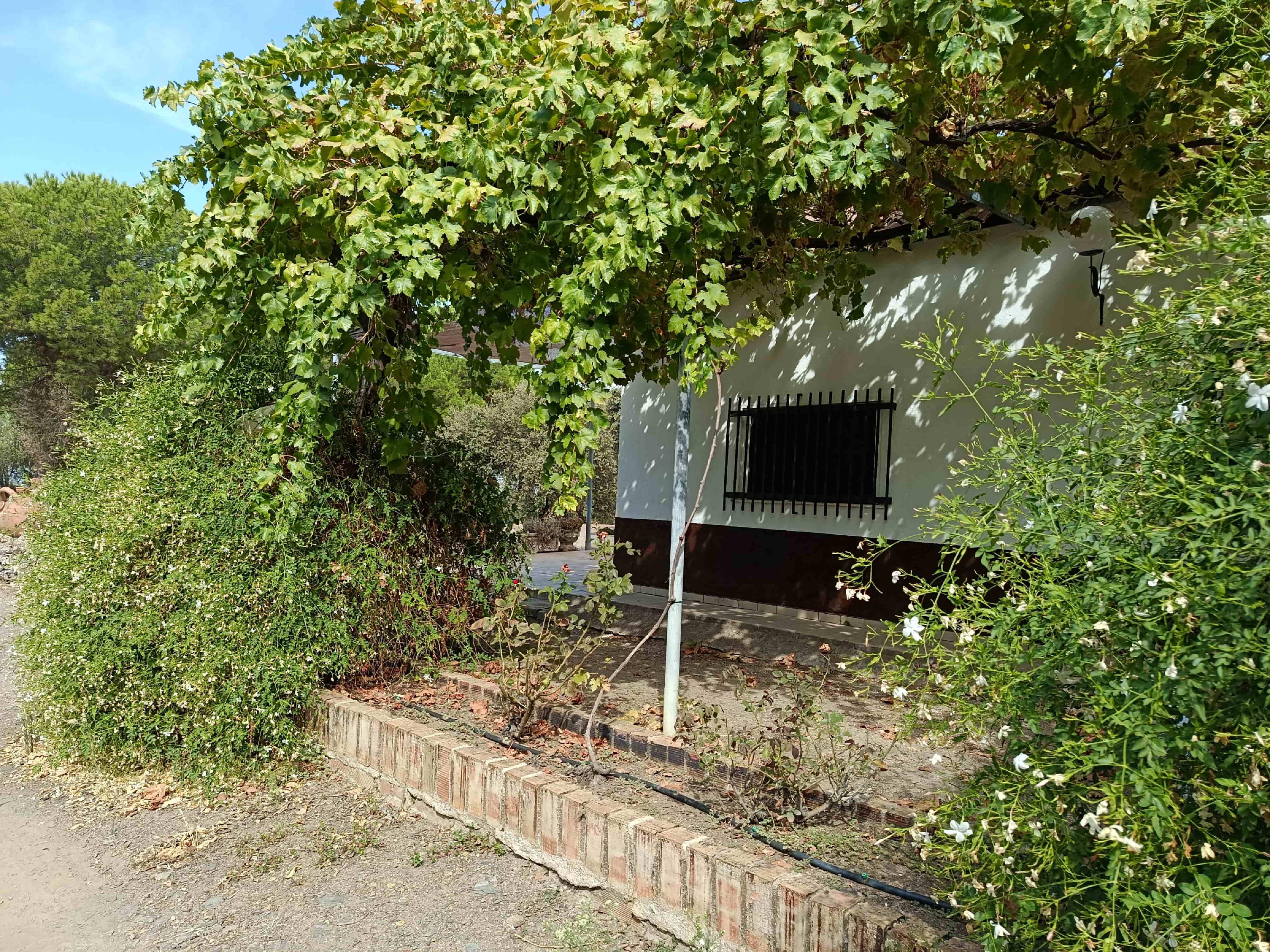 Imagen 8 Casa Rústica en venta en Andújar / A 100 metros del cruce del Alcornoque