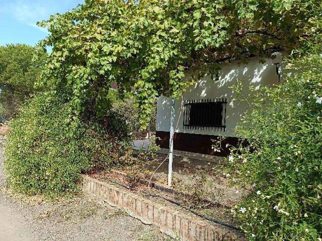 Imagen 8 Inmueble 306239 - Casa Rústica en venta en Andújar / A 100 metros del cruce del Alcornoque