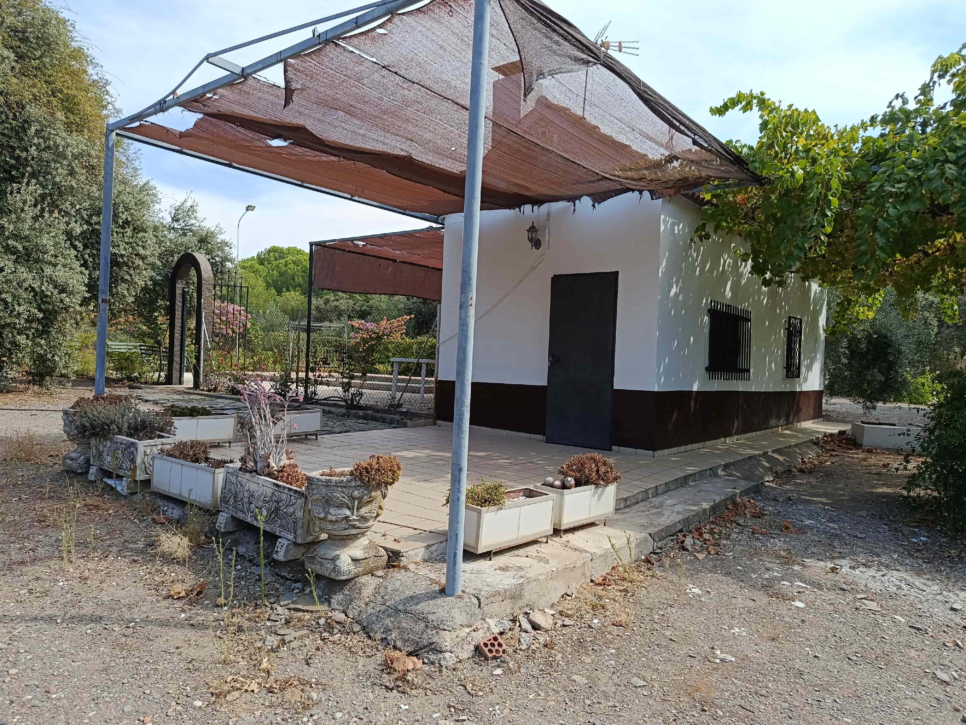 Imagen 5 Casa Rústica en venta en Andújar / A 100 metros del cruce del Alcornoque