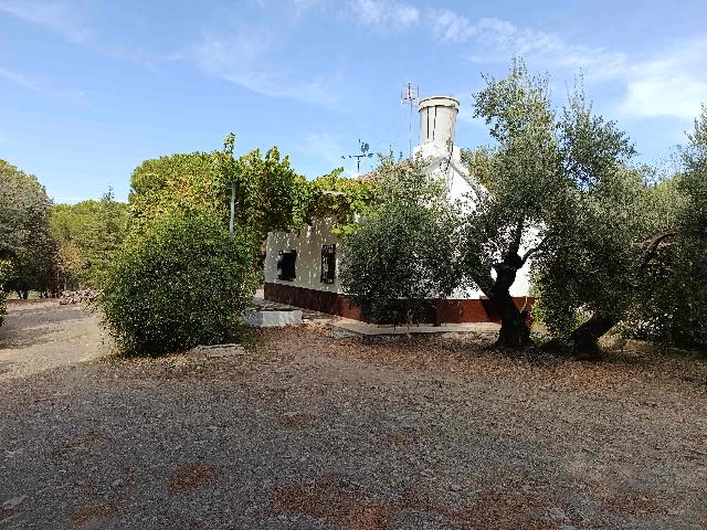 Imagen 15 Inmueble 306239 - Casa Rústica en venta en Andújar / A 100 metros del cruce del Alcornoque