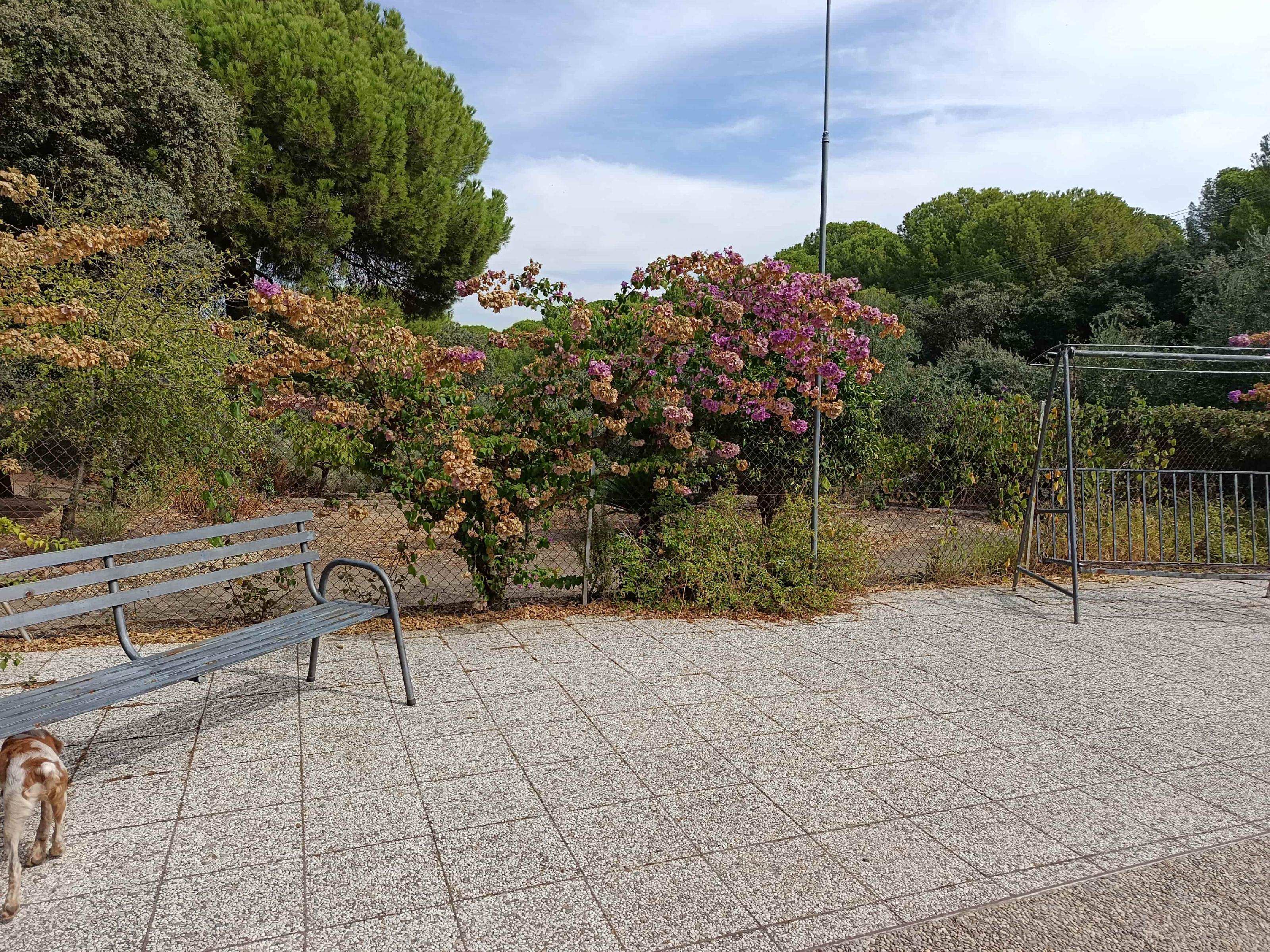 Imagen 16 Casa Rústica en venta en Andújar / A 100 metros del cruce del Alcornoque