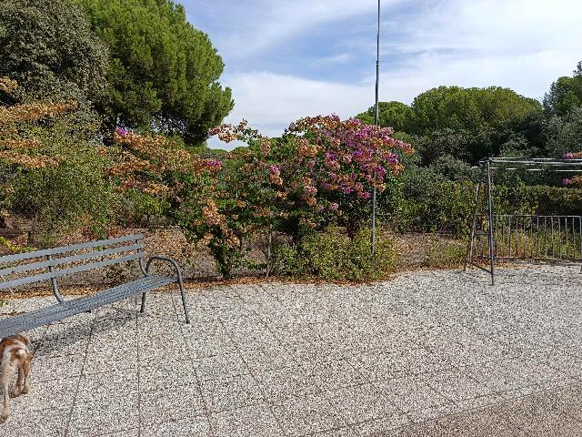 Imagen 16 Inmueble 306239 - Casa Rústica en venta en Andújar / A 100 metros del cruce del Alcornoque