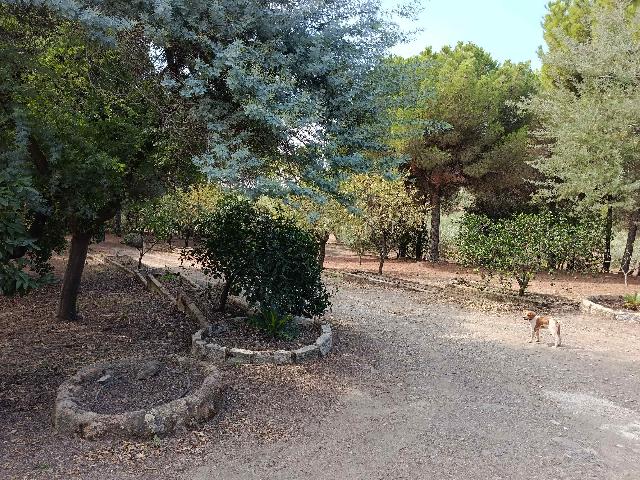 Imagen 17 Inmueble 306239 - Casa Rústica en venta en Andújar / A 100 metros del cruce del Alcornoque