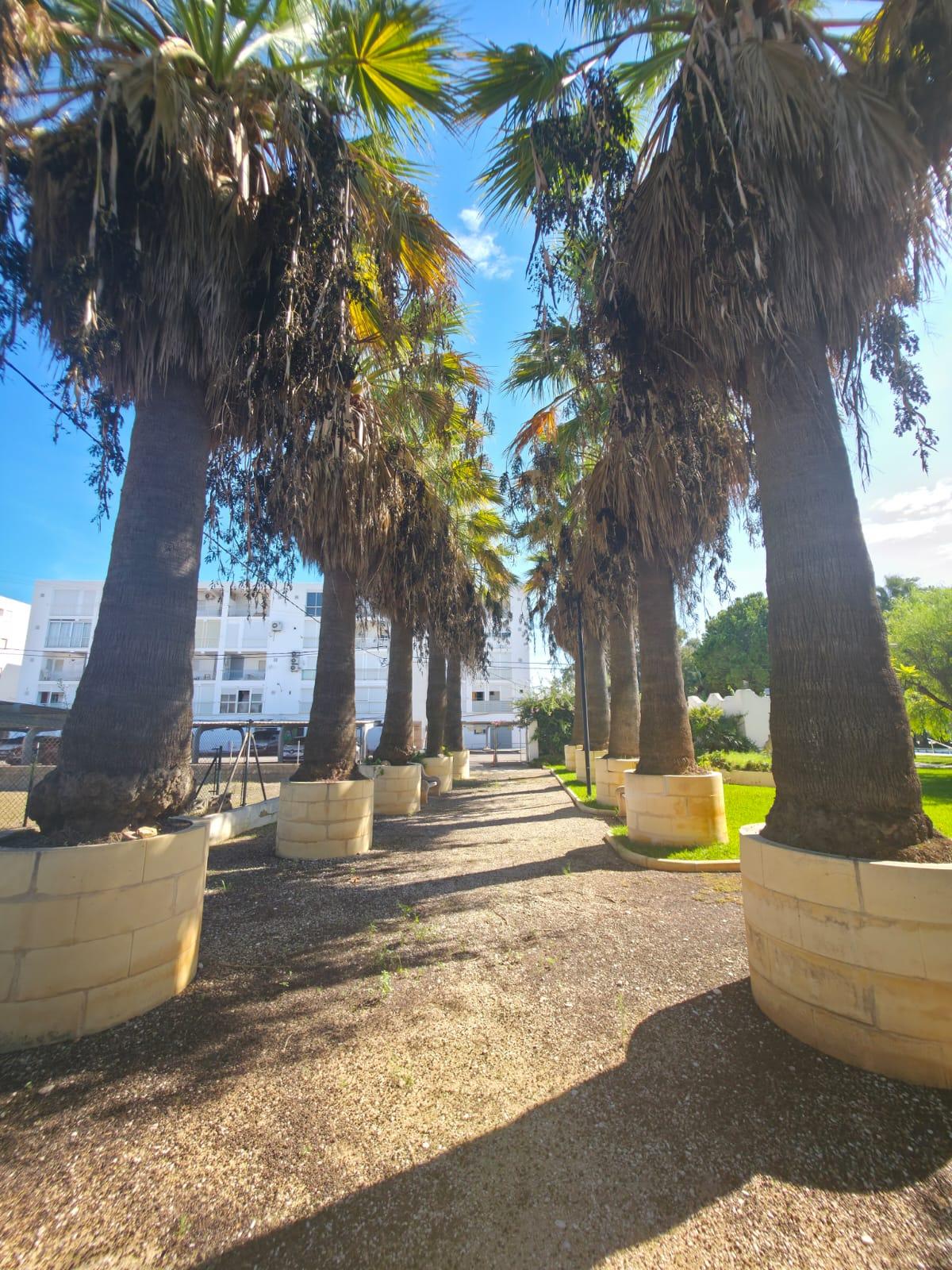 Imagen 18 Apto. Playa en venta en Dénia / Cerca de la playa de Les Deveses 