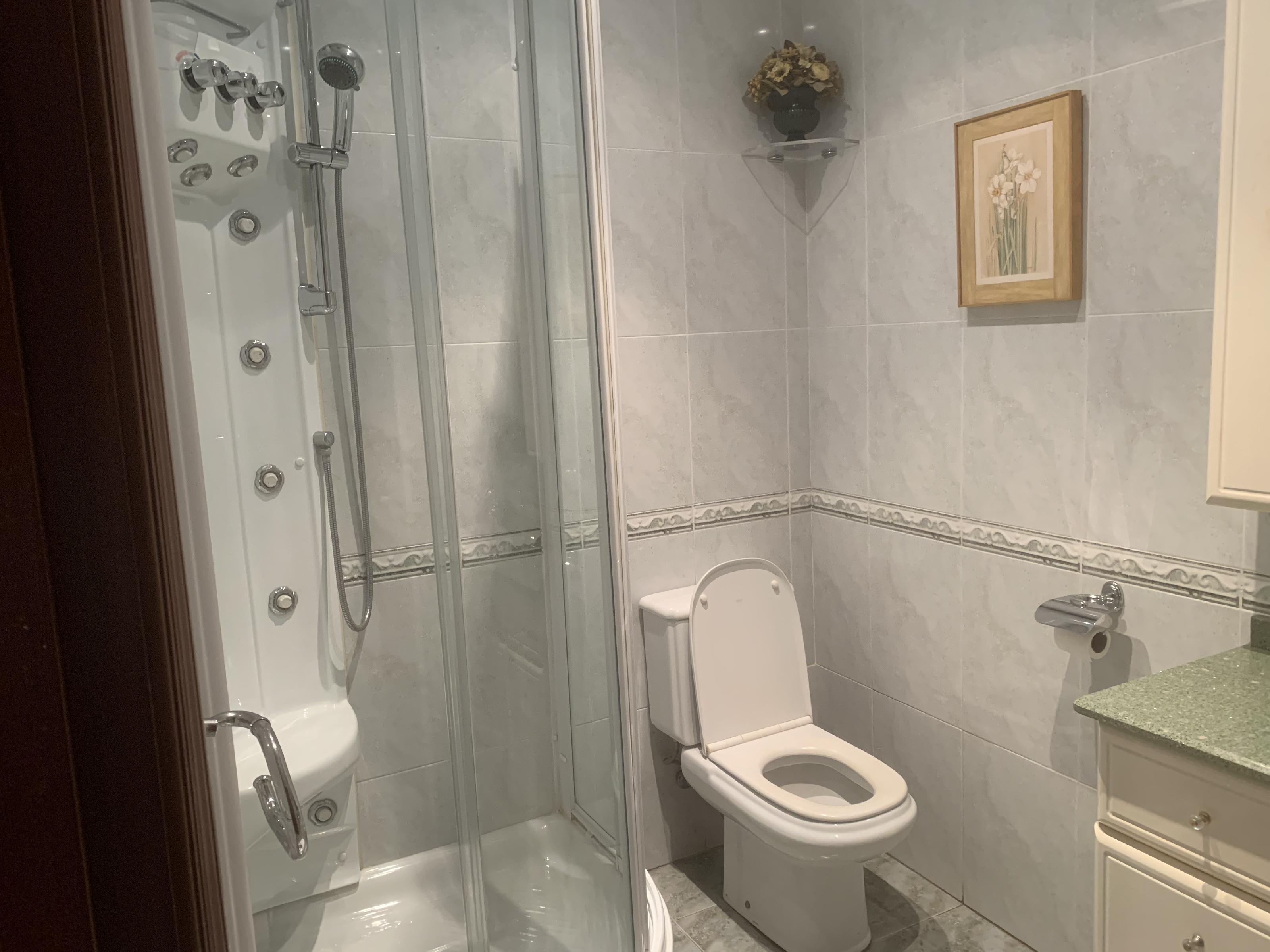 Imagen 13 Piso en venta en Alegia / Piso amplio en el centro de Aleggi