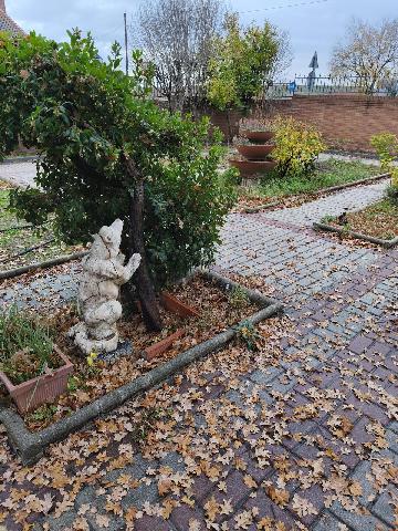 Imagen 5 Inmueble 299132 - Casa Aislada en venta en Camarma De Esteruelas / Cerca a carretera de Valdeavero en Camarma 