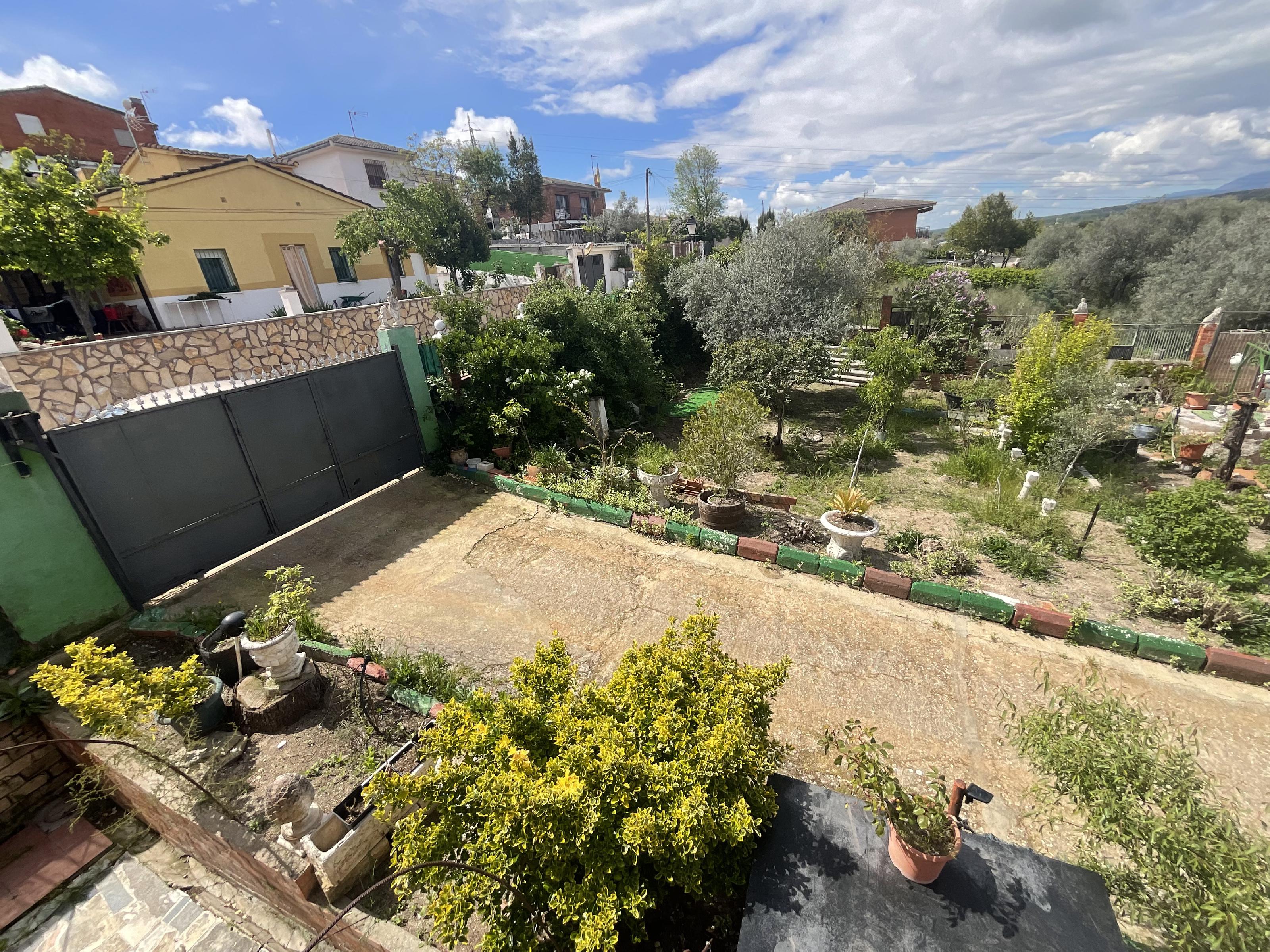 Imagen 34 Casa Aislada en venta en Escalona / Chalet aislado en venta con gran parcela con vistas