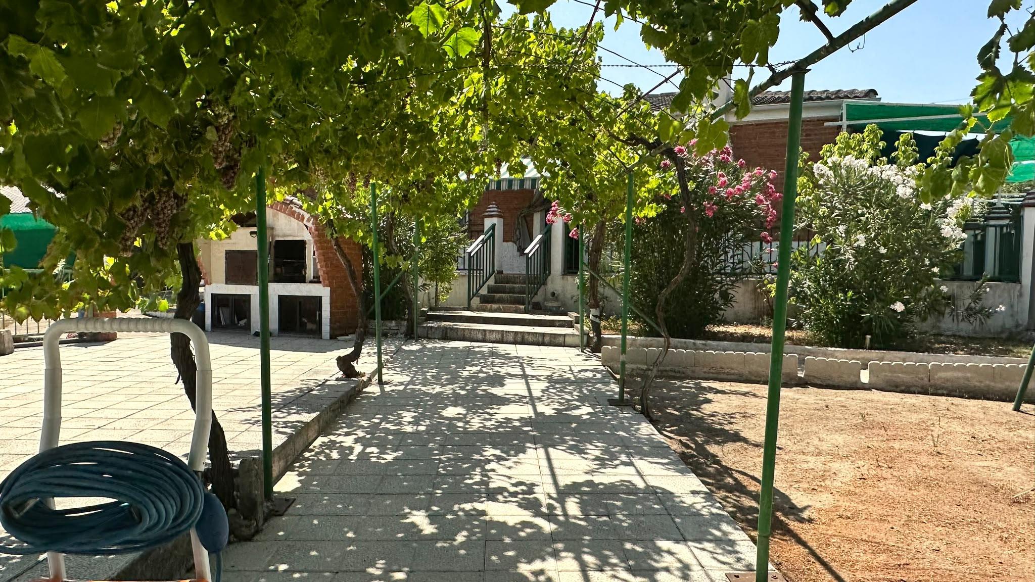 Imagen 23 Casa Aislada en venta en Escalona / Casa de ladrillo de una planta con 4 habitaciones