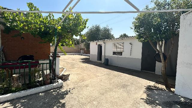 Imagen 28 Inmueble 305051 - Casa Aislada en venta en Escalona / Casa de ladrillo de una planta con 4 habitaciones