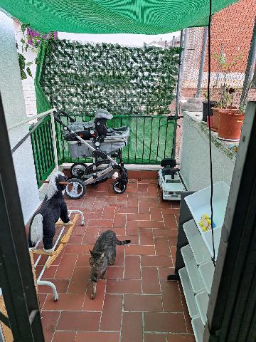 Imagen 6 Inmueble 298068 - Piso en venta en Hospitalet De Llobregat (L´) / A una calle de la Plaza de la Font y Plaza...