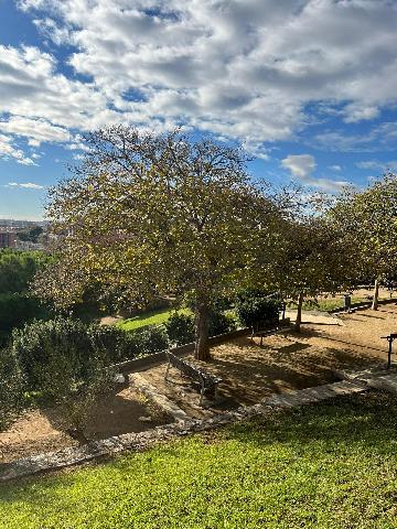 Imagen 14 Inmueble 305551 - Piso en venta en Hospitalet De Llobregat (L´) / A solo 8 minutos del mercado de Collblanc