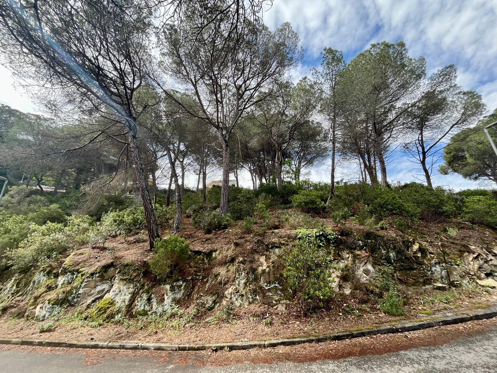 Imagen 1 Solar Urbano en venta en Vilanova Del Vallès / Magnifico terreno en Vilanova de 1000m2