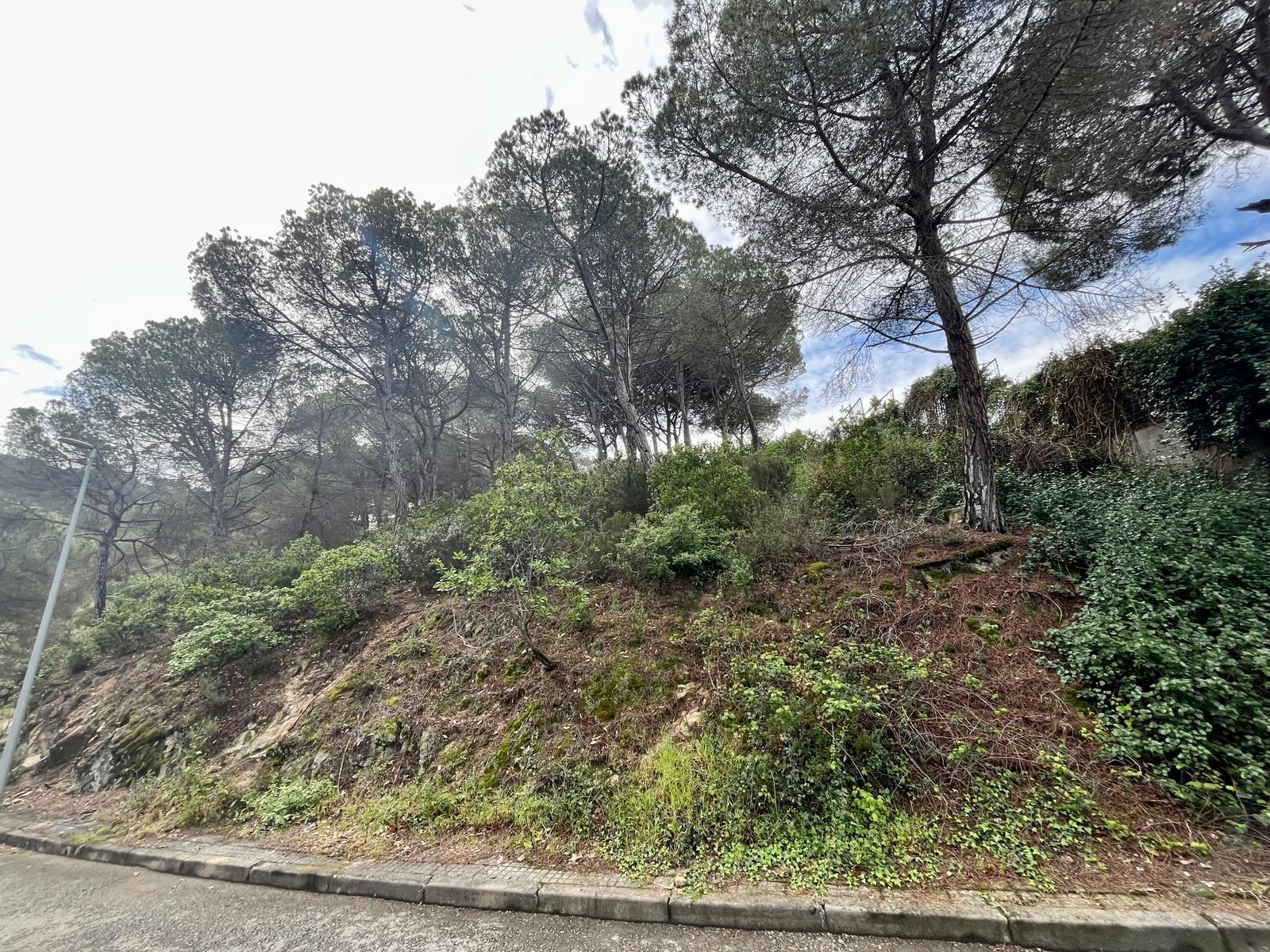Imagen 6 Solar Urbano en venta en Vilanova Del Vallès / Magnifico terreno en Vilanova de 1000m2