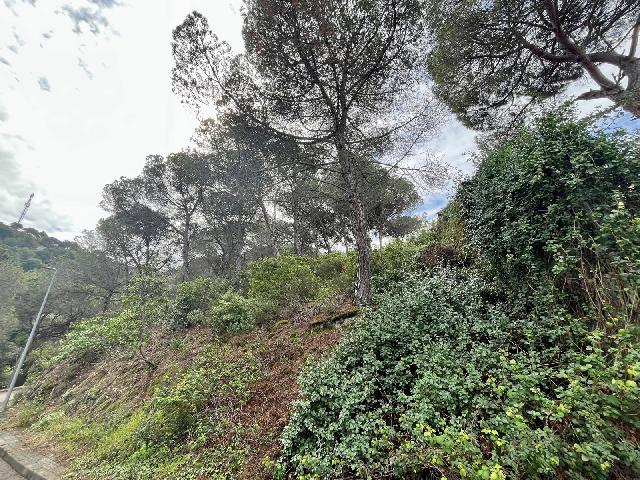 Imagen 2 Inmueble 292200 - Solar Urbano en venta en Vilanova Del Vallès / Magnifico terreno en Vilanova de 1000m2