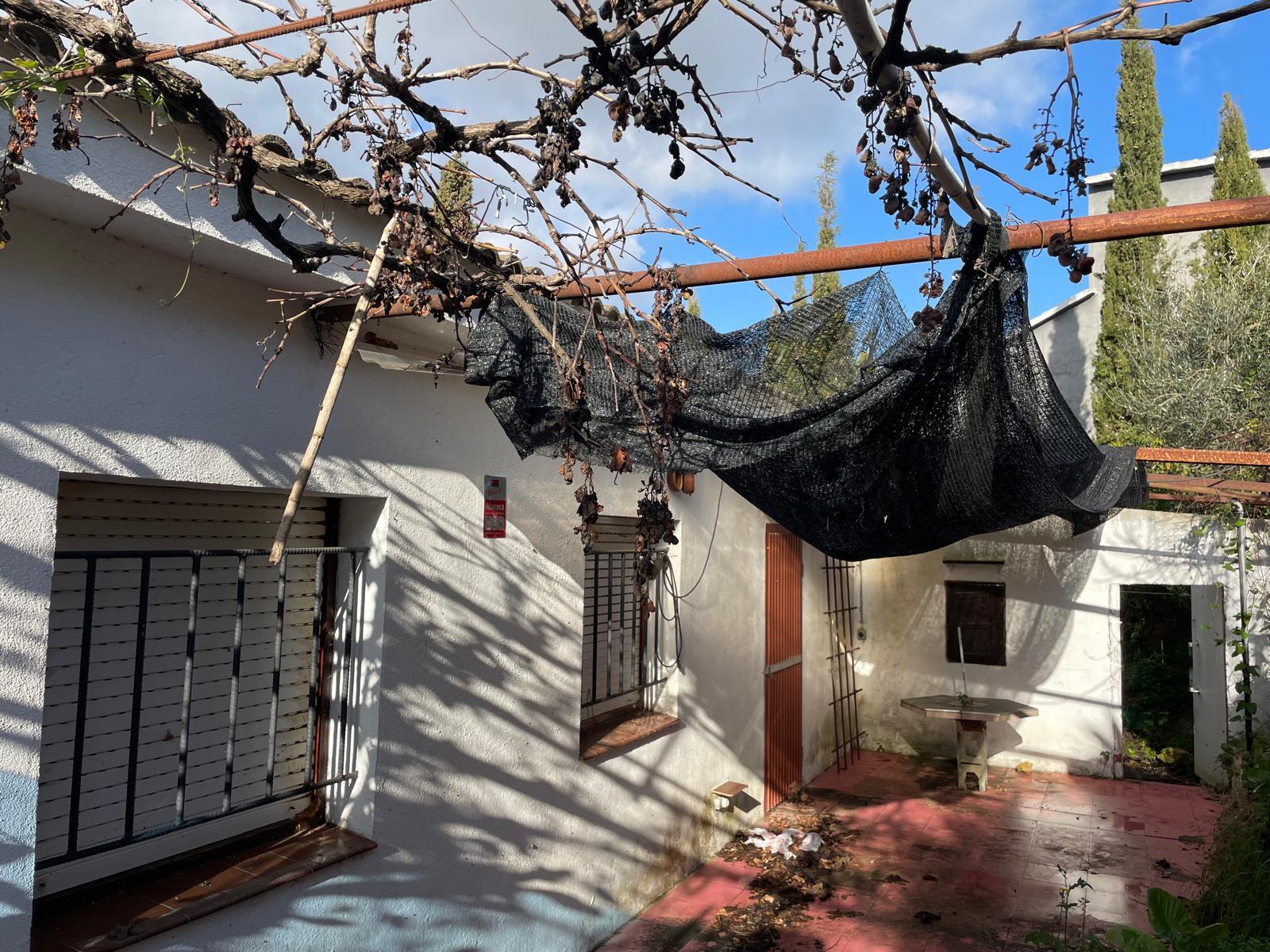 Imagen 6 Casa Aislada en venta en Bisbal Del Penedès La / En la urb el Esplai