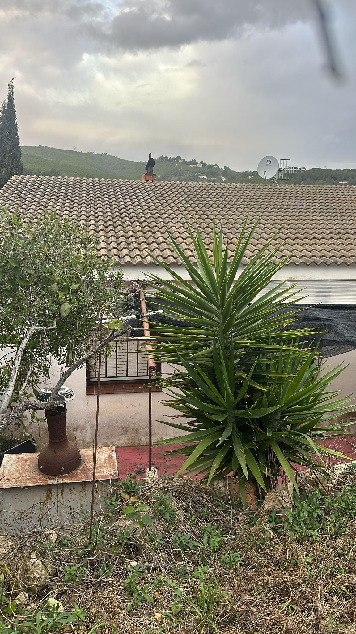 Imagen 7 Casa Aislada en venta en Bisbal Del Penedès La / En la urb el Esplai