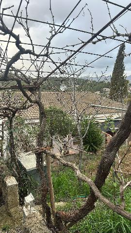 Imagen 8 Inmueble 300071 - Casa Aislada en venta en Bisbal Del Penedès (La) / En la urb el Esplai