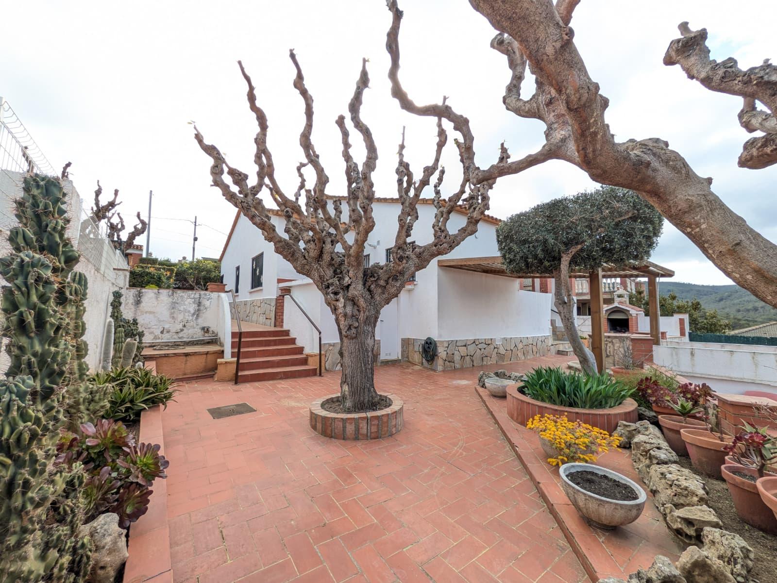 Imagen 24 Casa Aislada en venta en Bisbal Del Penedès La / En la urbanización Can Gordei