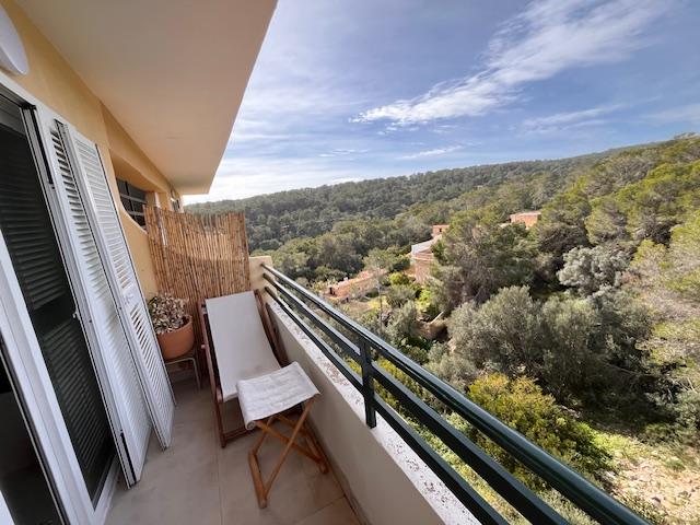 Imagen 4 Inmueble 300790 - Apartamento en venta en Calvià / Portals Vells-Calvia