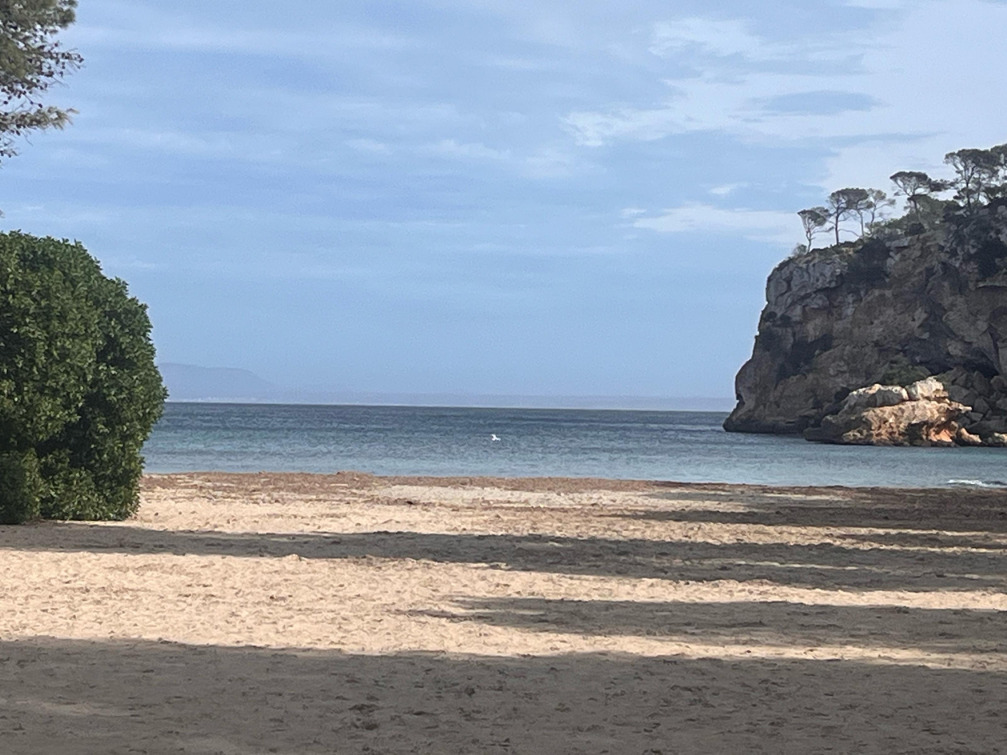 Imagen 26 Apartamento en venta en Calvià / Portals Vells-Calvia junto al parque Natural y playas.