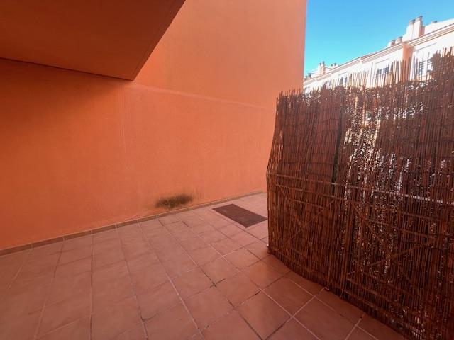 Imagen 6 Casa en alquiler en Palma / Carrer de la Cigonya 4