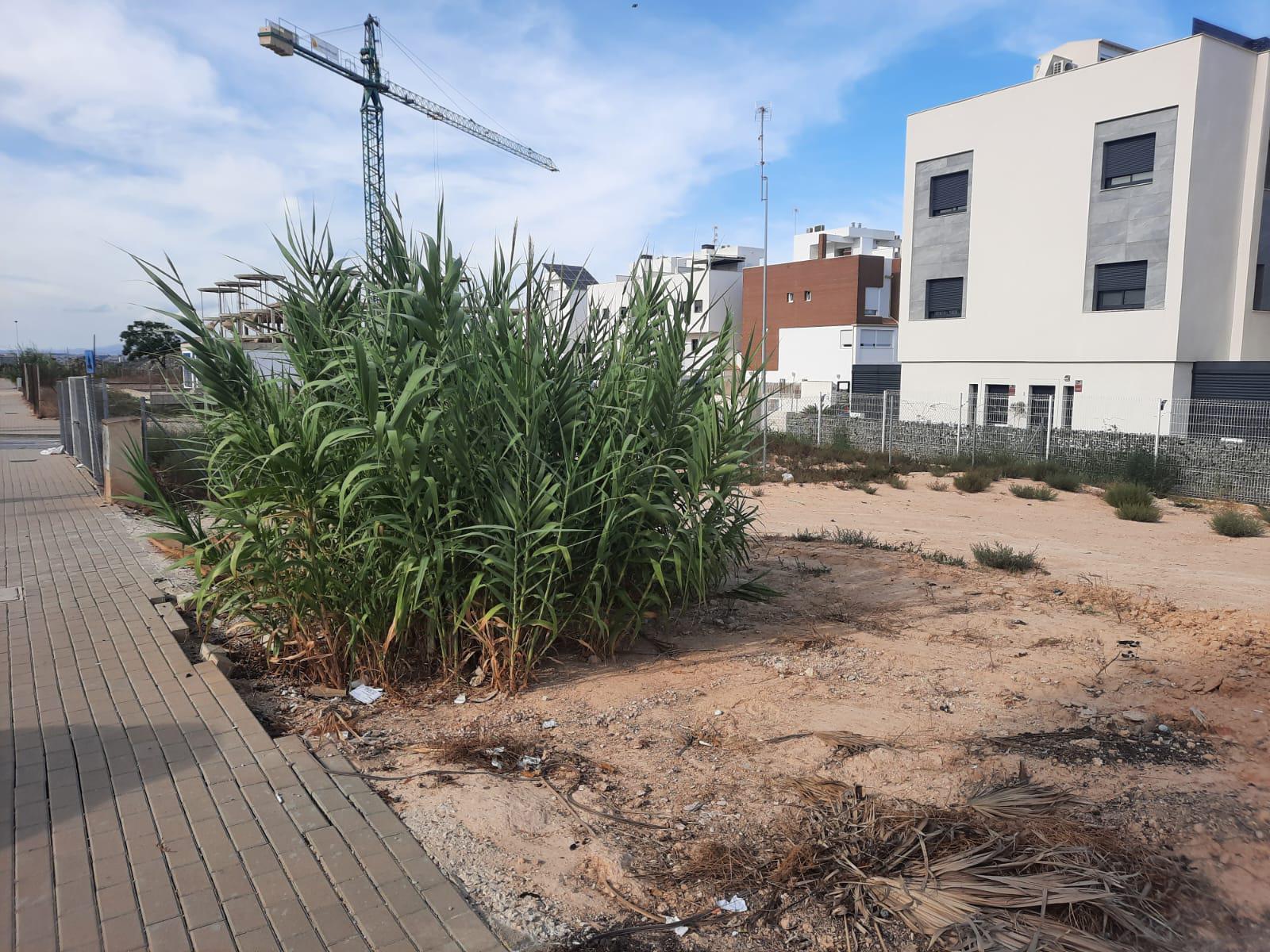 Imagen 2 Solar Urbano en venta en Guardamar Del Segura / A 1 km de la playa de Guardamar Imagen 2 Solar Urbano en venta en Guardamar Del Segura / A 1 km de la playa de Guardamar