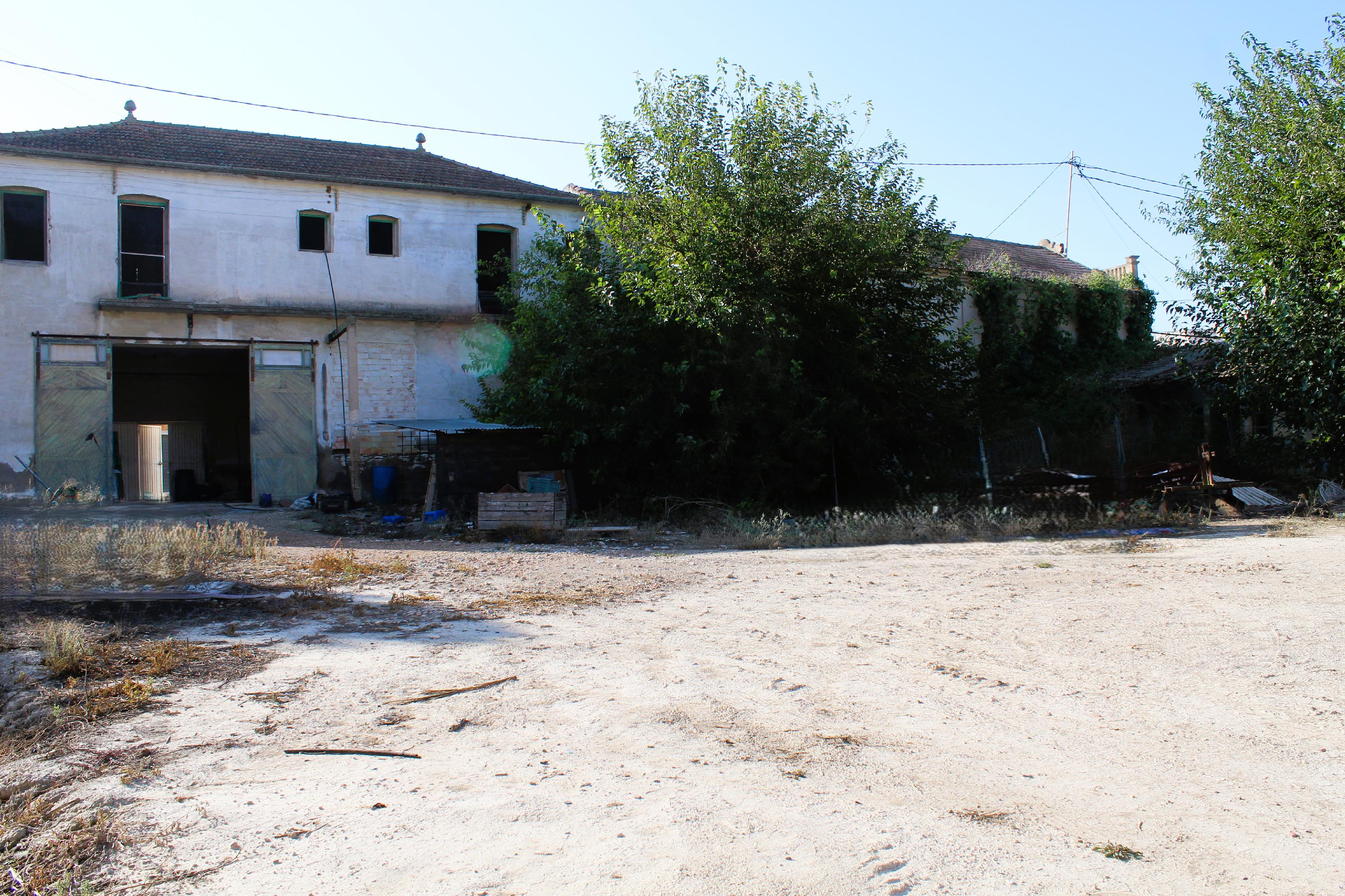 Imagen 1 Local Industrial en venta en Jacarilla / En una de las avenidas principales de jacarilla. Imagen 1 Local Industrial en venta en Jacarilla / En una de las avenidas principales de jacarilla.