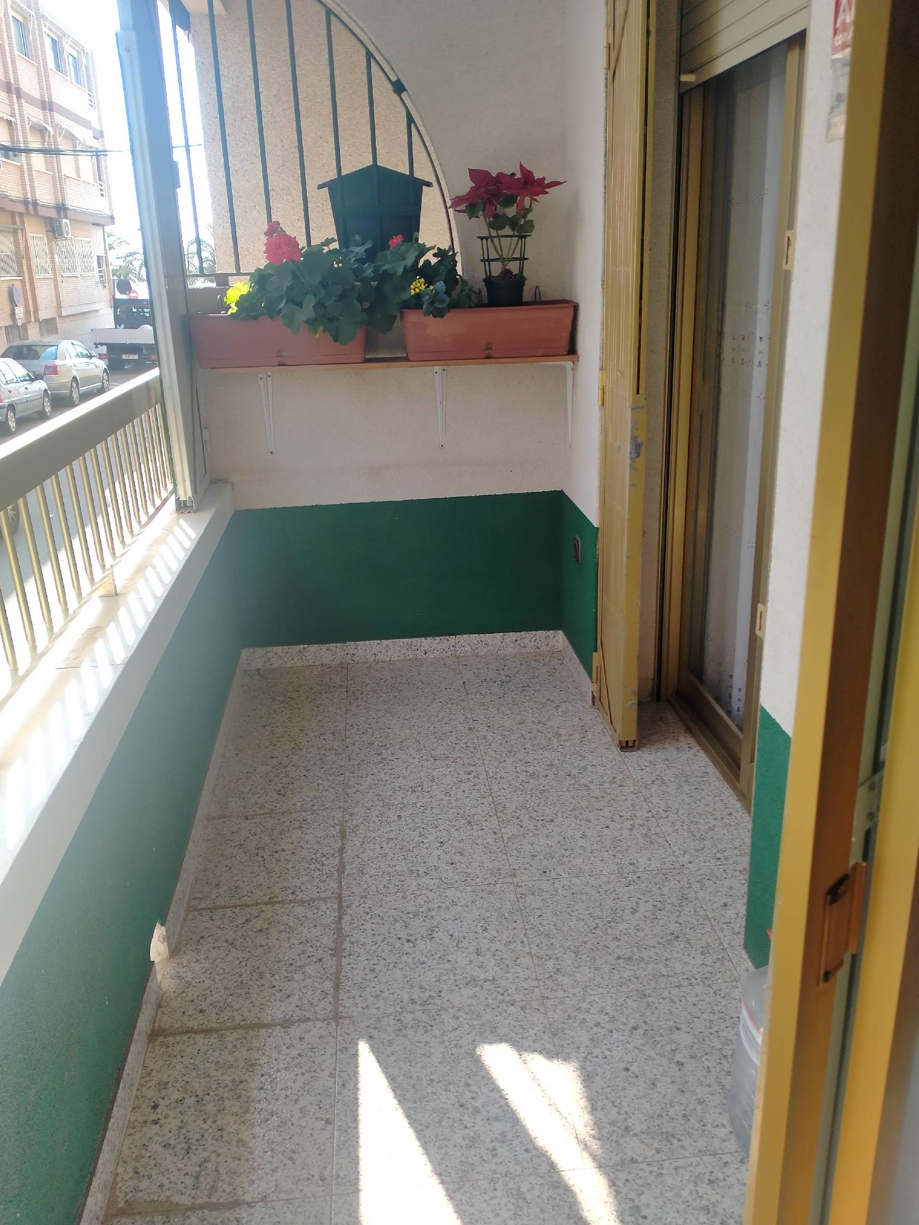 Imagen 28 Planta Baja en venta en San Pedro Del Pinatar / Piso en planta baja a pasos de la playa .