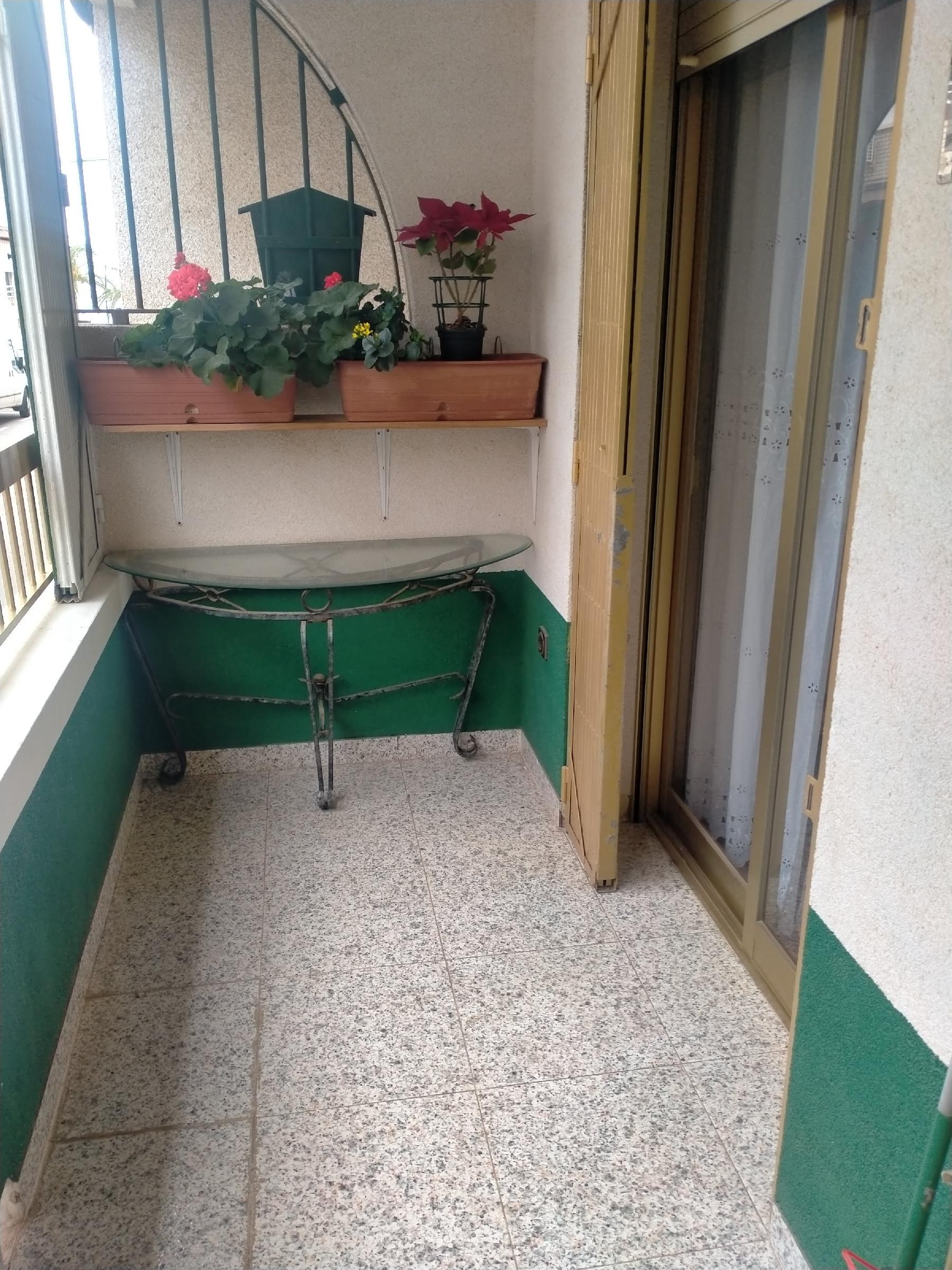 Imagen 29 Planta Baja en venta en San Pedro Del Pinatar / Piso en planta baja a pasos de la playa .