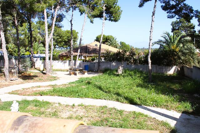 Imagen 34 Inmueble 302689 - Casa Aislada en venta en Pilar De La Horadada / Chalet independiente en pinar de campoverd...