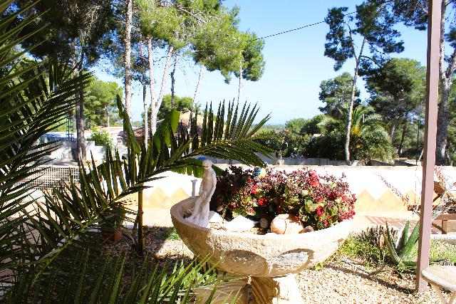 Imagen 35 Inmueble 302689 - Casa Aislada en venta en Pilar De La Horadada / Chalet independiente en pinar de campoverd...