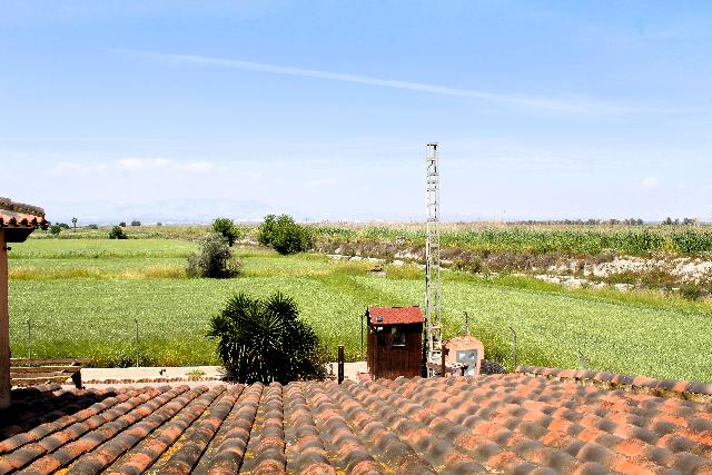 Imagen 6 Inmueble 302775 - Casa Aislada en venta en Dolores / Chalet independiente con gran parcela en Dolores.