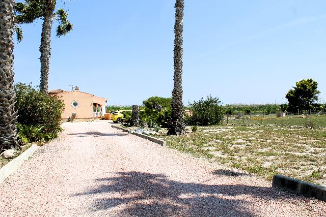 Imagen 37 Inmueble 302775 - Casa Aislada en venta en Dolores / Chalet independiente con gran parcela en Dolores.