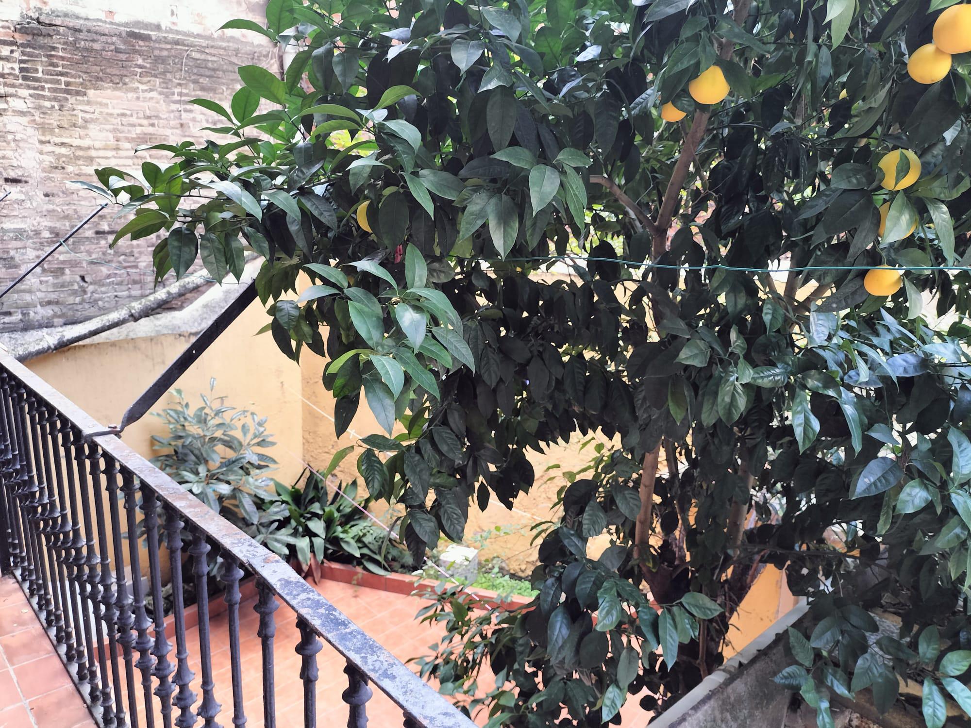 Imagen 19 Piso en venta en Barcelona / Consell de Cent 