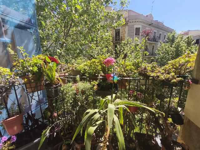 Imagen 4 Inmueble 302186 - Piso en venta en Barcelona / Rosselló - Sardenya